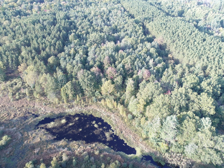DJI_0073