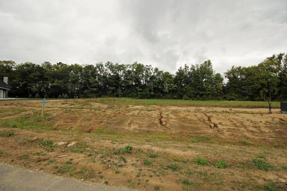 Lot 6