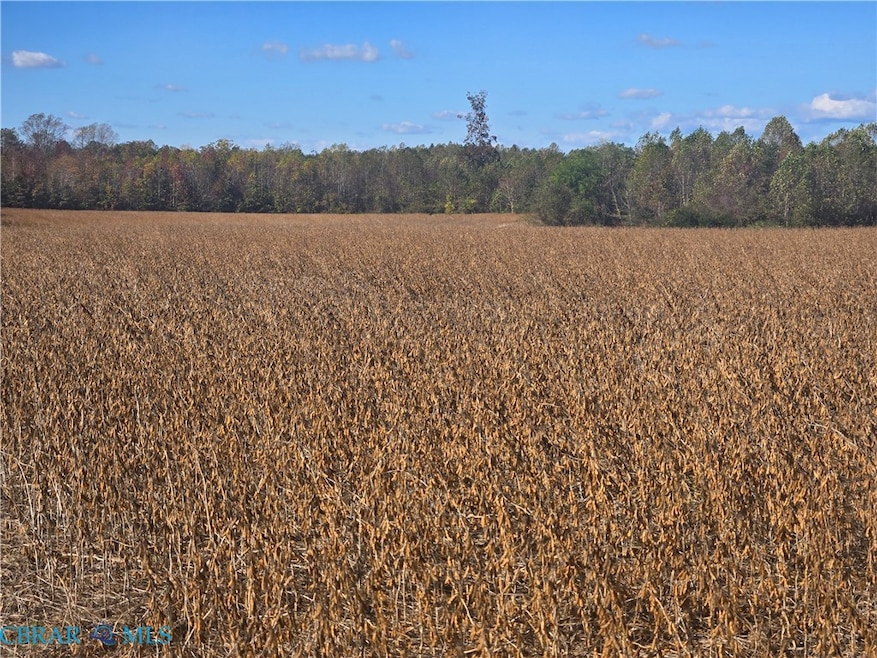 00 Newmans Neck Rd, Heathsville, VA 22473 - photo 1