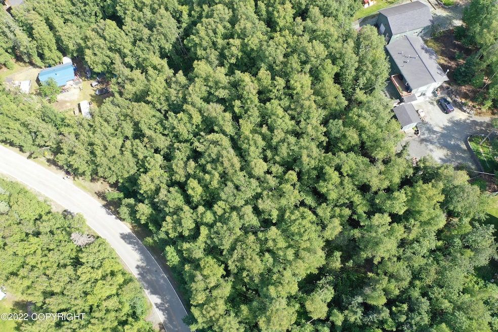 DJI_0499