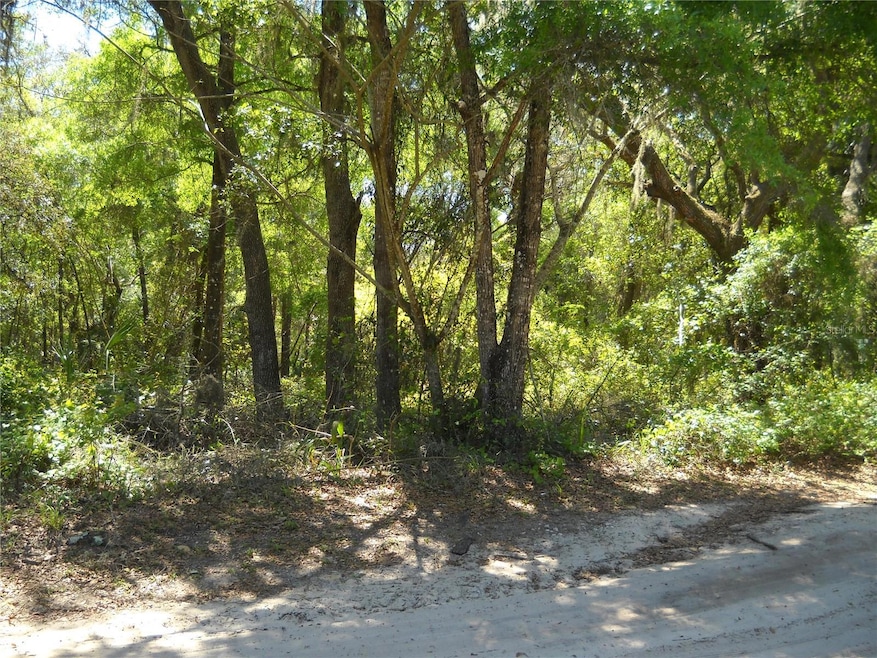00 NE 167th Place, Citra, FL 32113 - photo 1