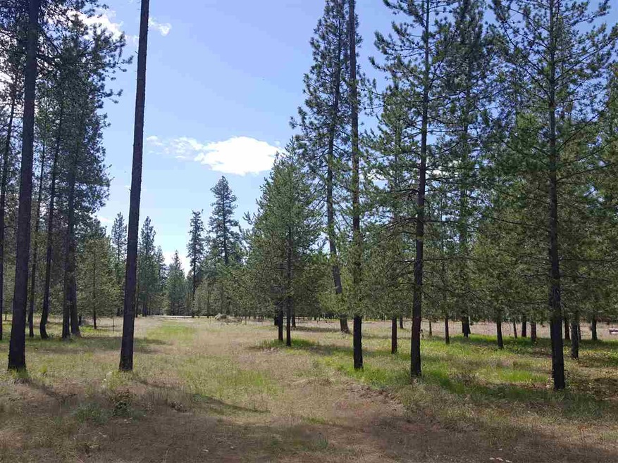 2600 Blk Hogan's Way, Chewelah, WA 99109 - photo 1