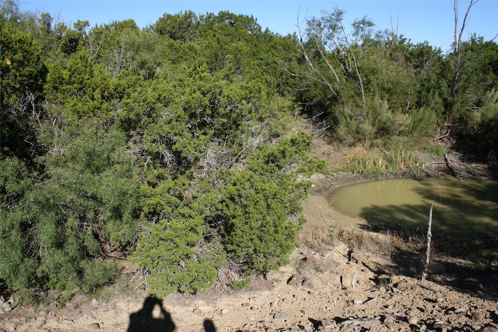 000 Upper Brad Rd, Strawn, TX 76475 - photo 1