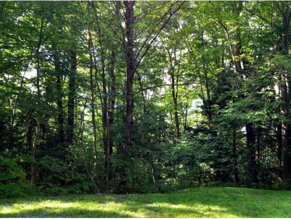 22 Shearer Hill Rd, Whitingham, VT 05361 - photo 1