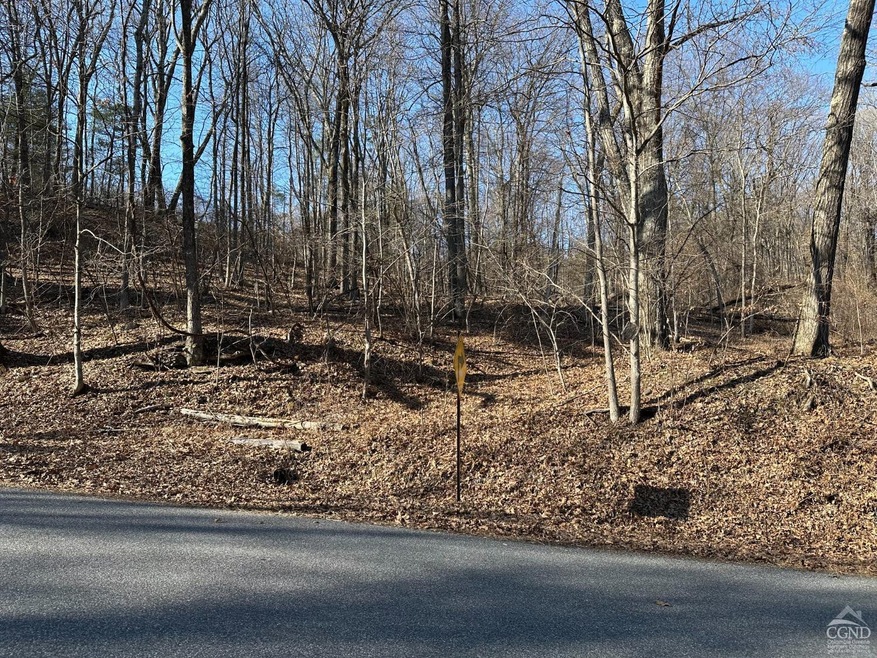 0 Buttermilk Falls Rd unit 156376, Catskill, NY 12414 - photo 1