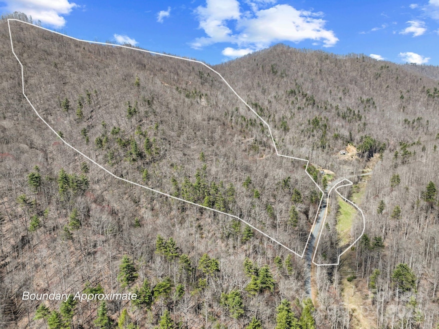 902 Spillcorn Rd, Marshall, NC 28753 - photo 1