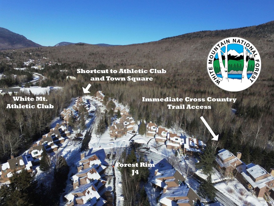 24 Forest Rim Way unit 4, Waterville Valley, NH 03215 - photo 1