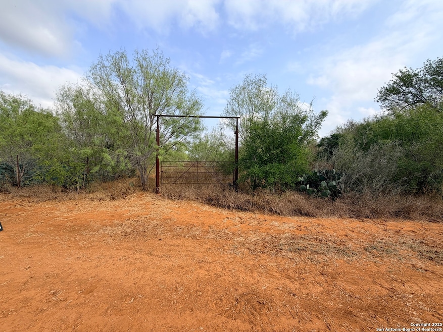 569 Couser Blvd, Charlotte, TX 78011 - photo 1