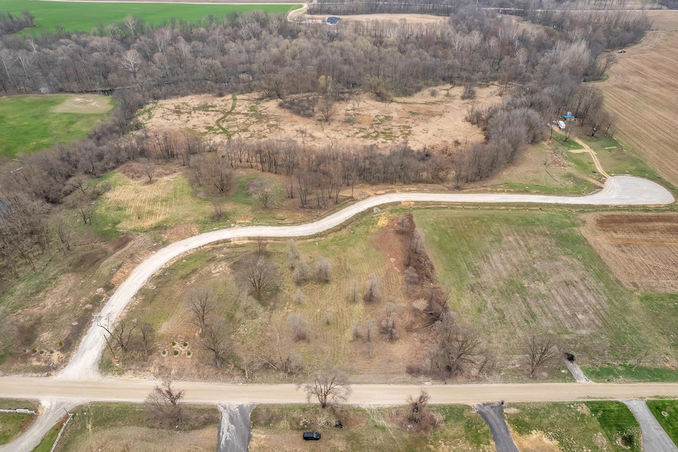 1055 Overlook Ct, Lodi Township, MI 48176 - photo 1