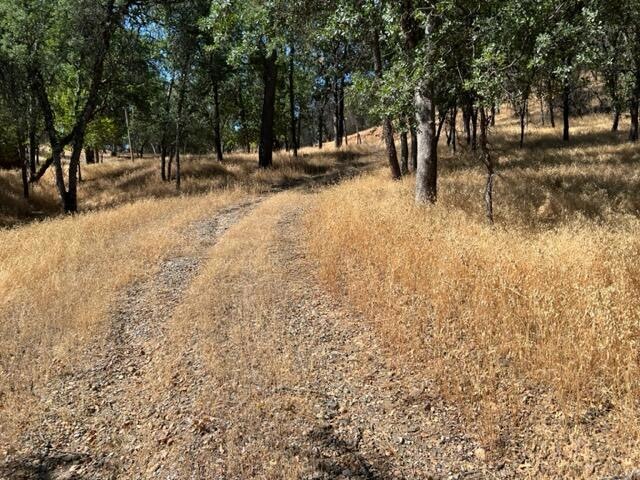 private country lane