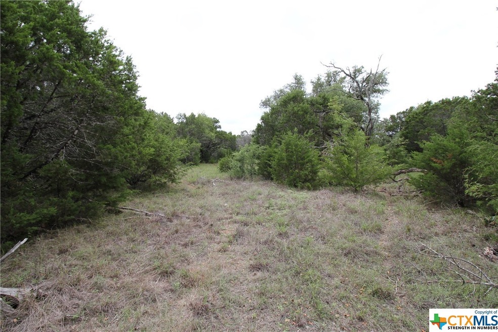 TBD Cowan Rd, Moody, TX 76557 - photo 1