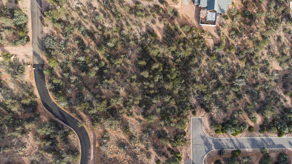 Aerial View 1