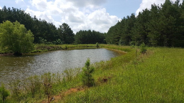 1170 Wa Walker Rd, McComb, MS 39648 - photo 1