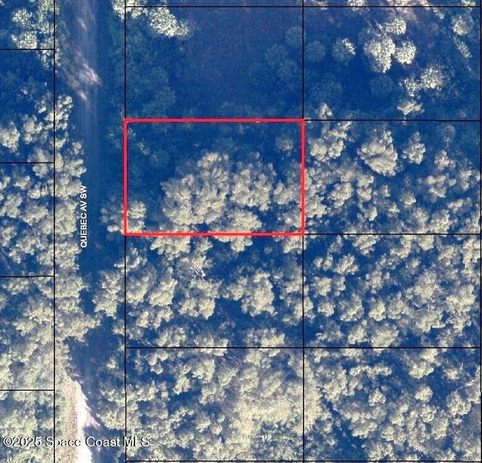 2675 Quebec Ave, Palm Bay, FL 32908 - photo 1