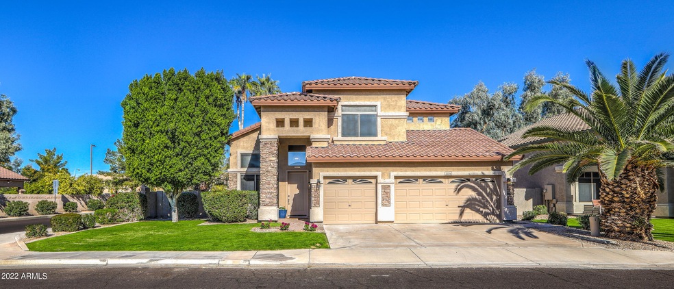 Ocotillo Gem on a Corner Lot