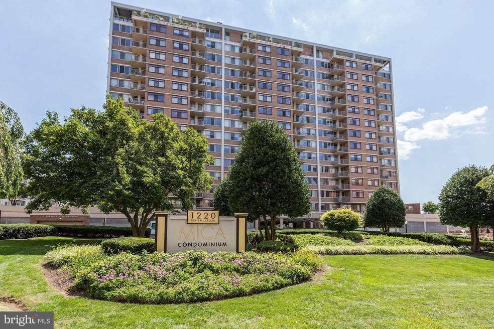 Mica Condominiums unit 204, Silver Spring, MD 20910 - photo 1