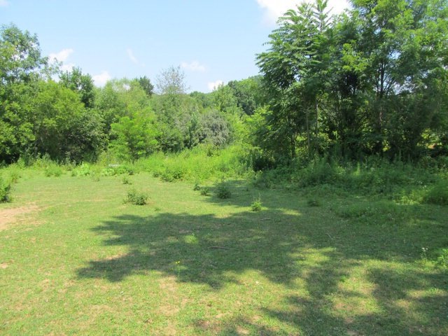 6012 Buck Mountain Rd, Cookeville, TN 38506 - photo 1