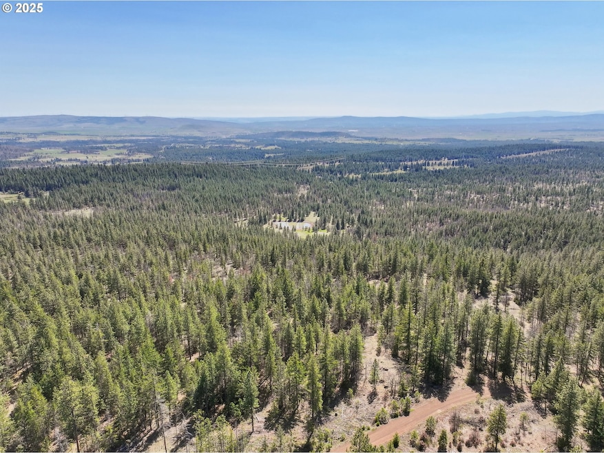 0 Nka Tyler Rd, Goldendale, WA 98620 - photo 1