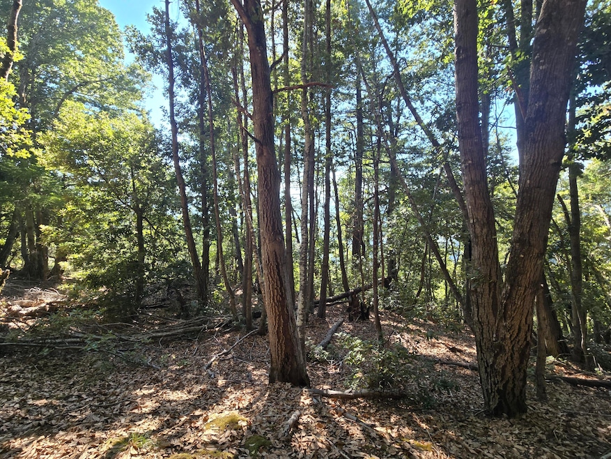 000 Panther Gap Rd, Honeydew, CA 95545 - photo 1