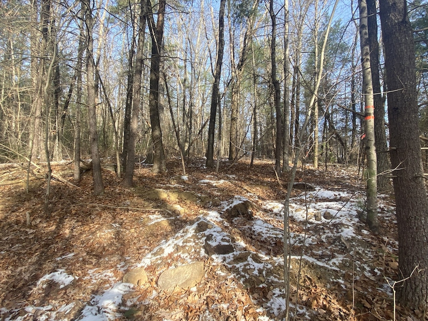 121 Sturbridge Rd, Brimfield, MA 01010 - photo 1