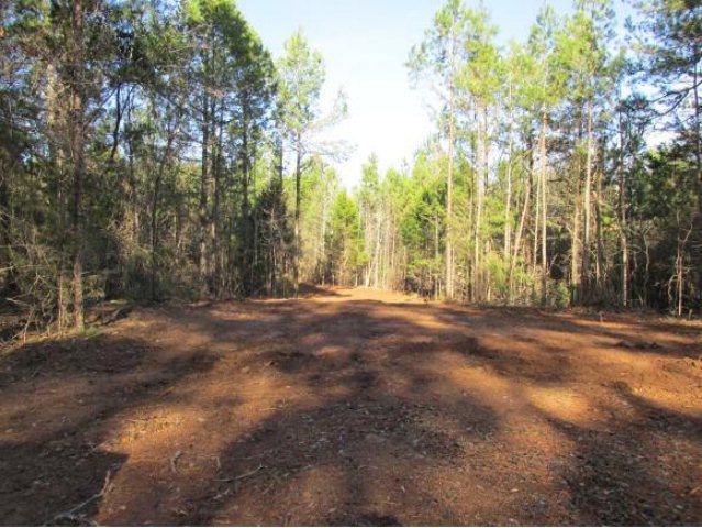178 County Road 141, Nacogdoches, TX 75965 - photo 1