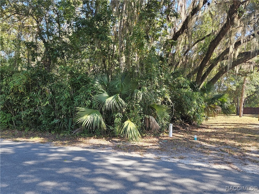 835 N Gardenview Terrace, Crystal River, FL 34429 - photo 1