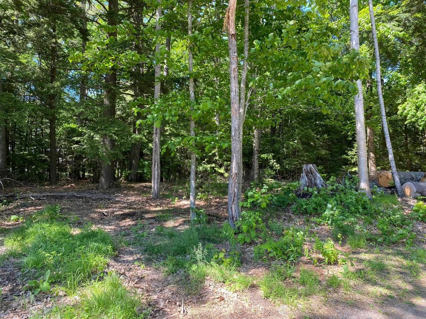 91 Middle Rd, Acton, ME 04001 - photo 1