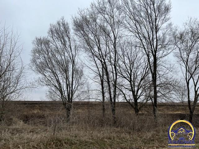 Tract 3 SW Fairlawn Rd unit Tract 3, Williamsport, KS 66546 - photo 1