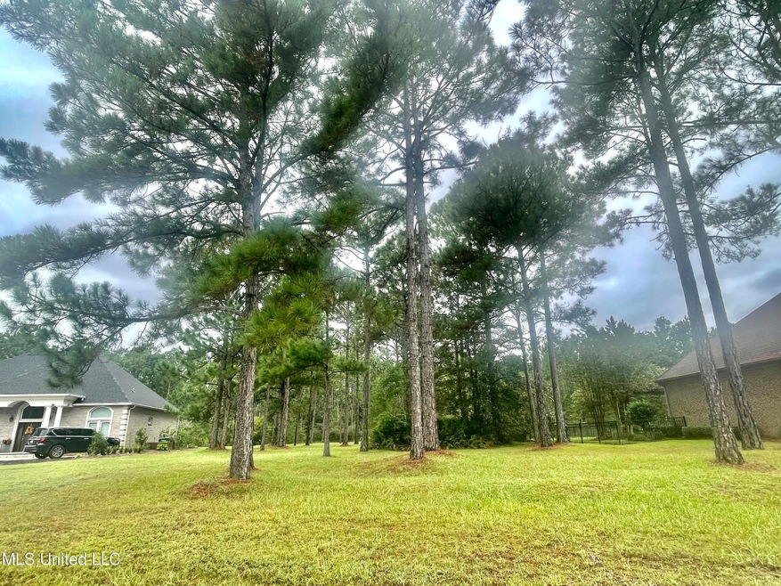 Lot 75