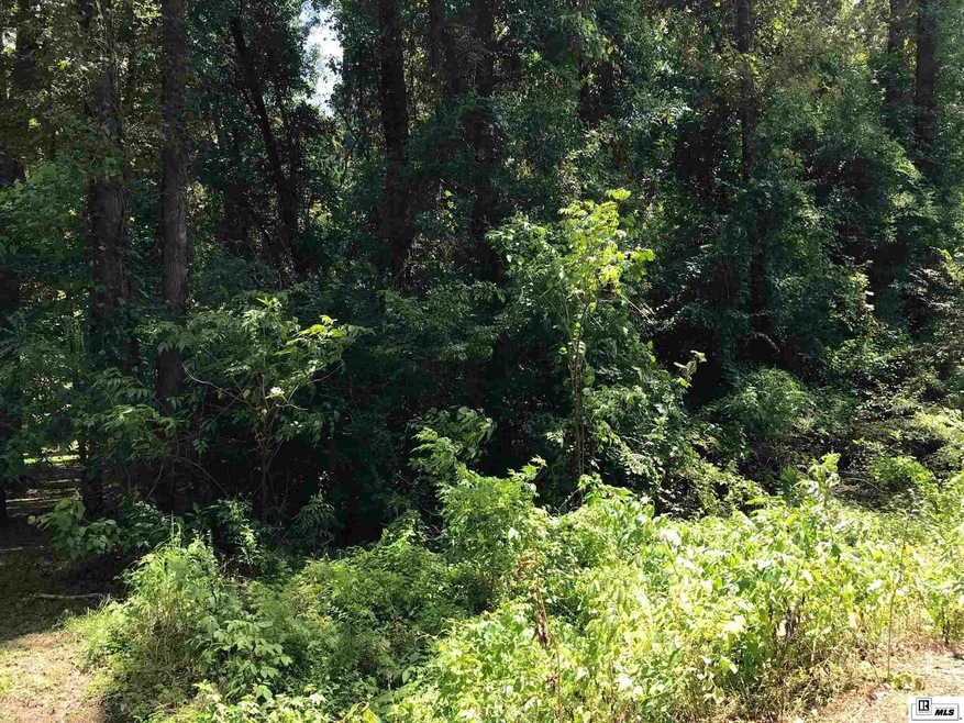 419 Wheelis St, West Monroe, LA 71292 - photo 1