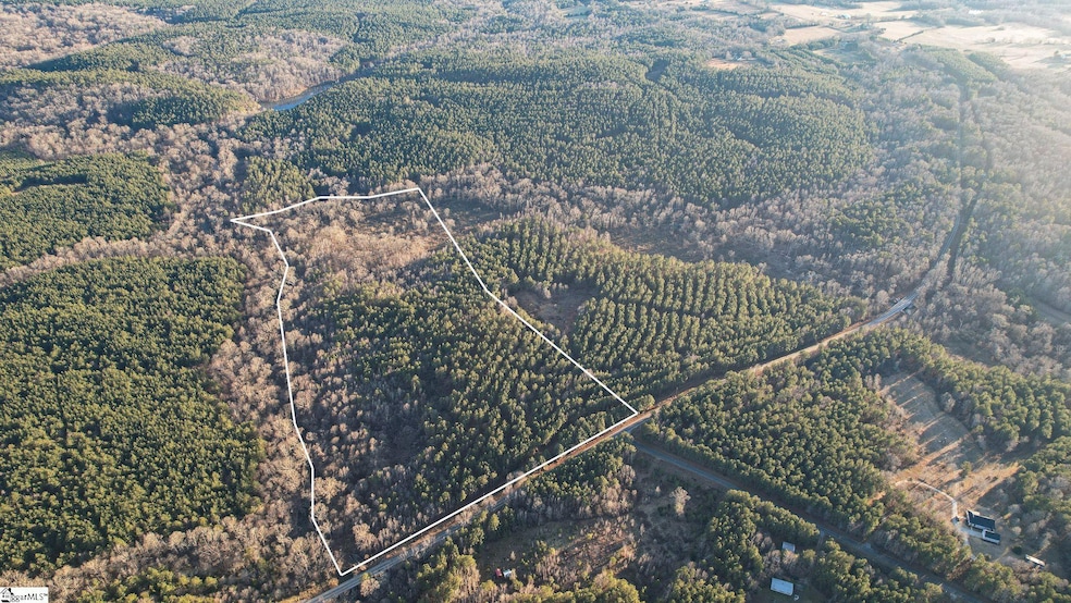 03 Jefferson Davis Rd unit Tract C, Mountville, SC 29370 - photo 1