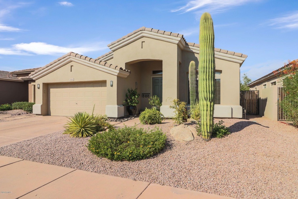 Desert Landscaped Front Yard