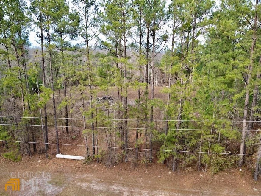 0 Old Tusculum Rd unit 20017543, Springfield, GA 31329 - photo 1