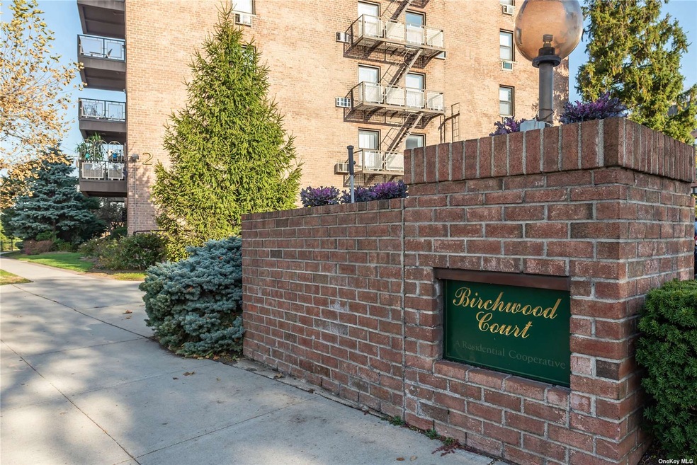 Birchwood Court unit 3B, Mineola, NY 11501 - photo 1
