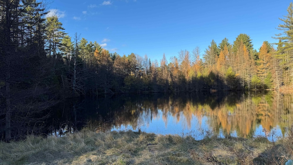 50 Cheney 4-Corner Rd, Newbury, VT 05040 - photo 1