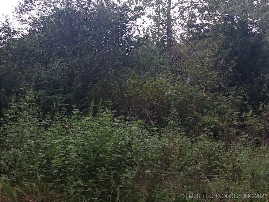 0 S 4193 Rd unit 2537771, Eufaula, OK 74432 - photo 1