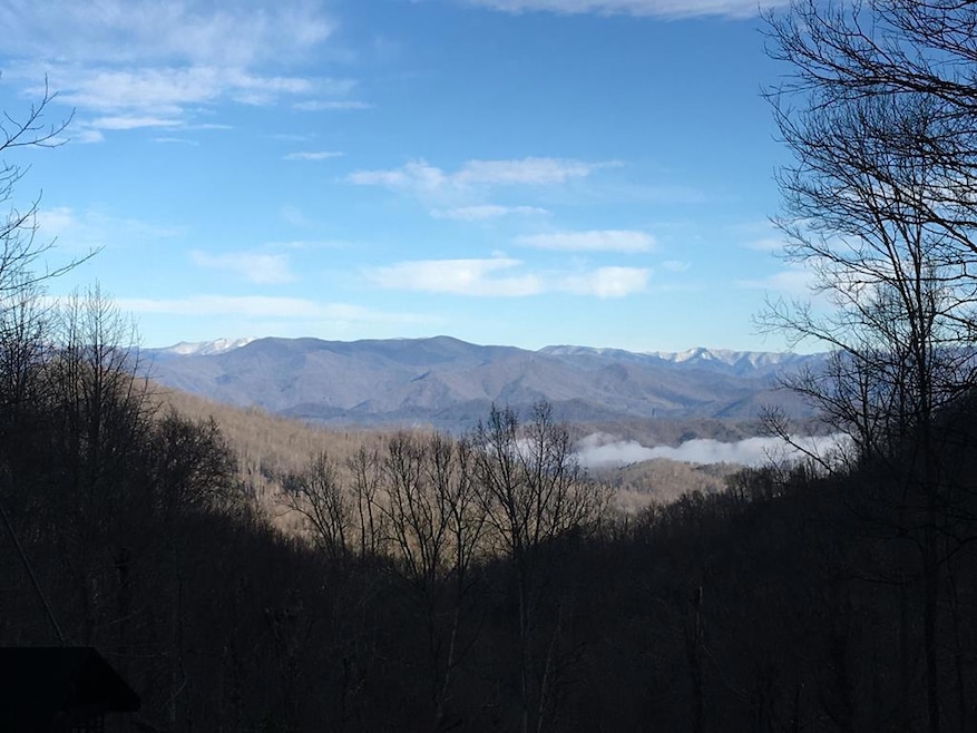 831 Forest Run Rd, Whittier, NC 28789 - photo 1