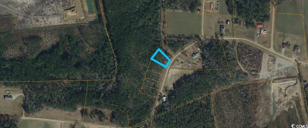 Lot 5 Mcnabb Rd, Loris, SC 29569 - photo 1