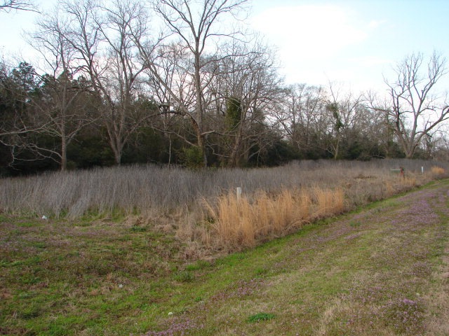 00 Ball Park Ave NE, Dawson, GA 39842 - photo 1