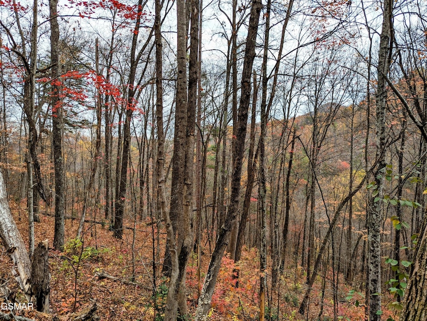 2313 Grey Fox Run, Sevierville, TN 37862 - photo 1