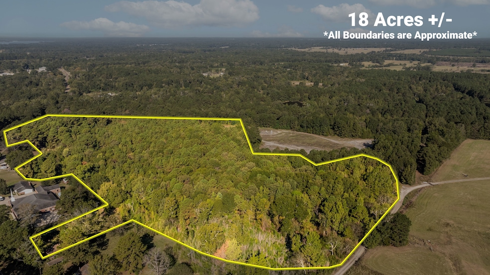 1996 Farm To Market Road 999, Gary, TX 75643 - photo 1