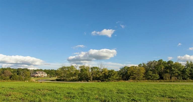 2051 Walnut Way (#10), Chelsea, MI 48118 - photo 1