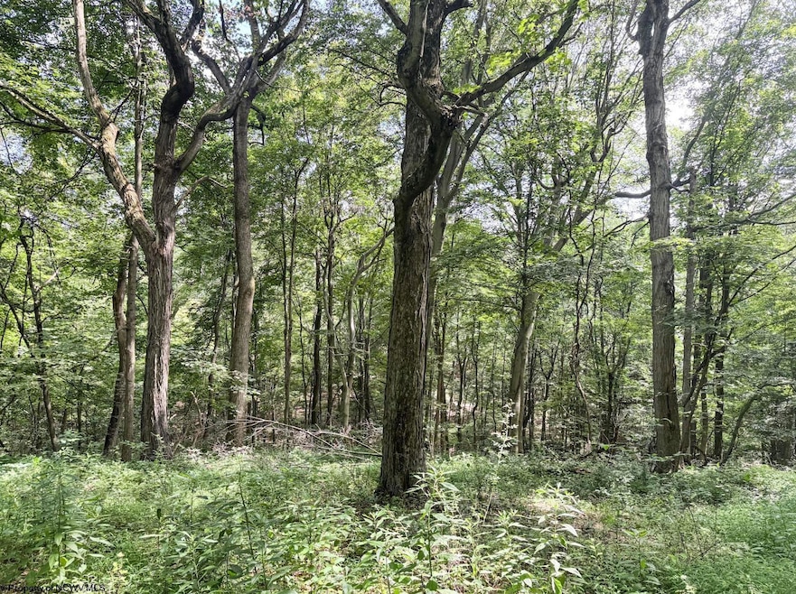 TBD Scenery Hill Rd, Wellsburg, WV 26070 - photo 1