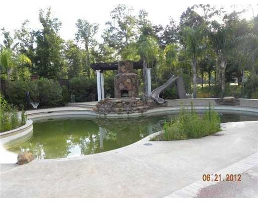 Other. Pool and stone fireplace