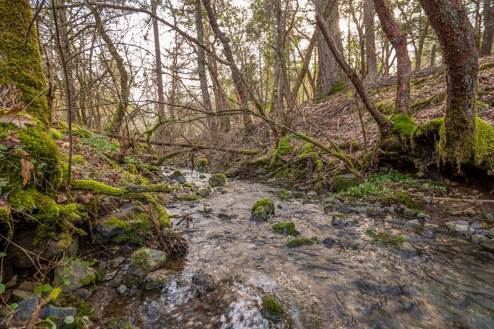 1224 W Jones Creek Rd unit Lot 2, Grants Pass, OR 97526 - photo 1