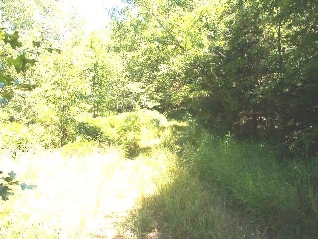 10 Tice Trail, Lincoln Township, MI 48625 - photo 1