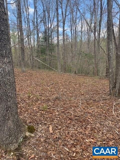 0 Shenandoah Crossing Dr unit 616122, Gordonsville, VA 22942 - photo 1