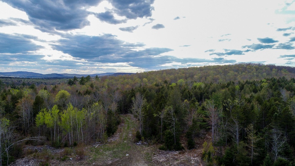 DJI_0013-2