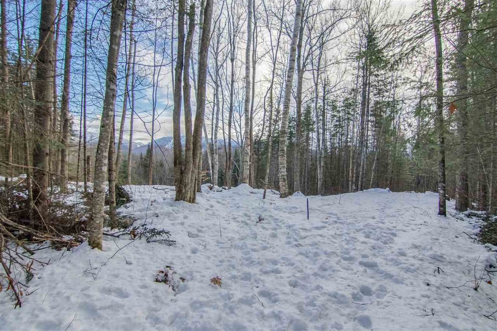 0 Forest Rd, Franconia, NH 03580 - photo 1