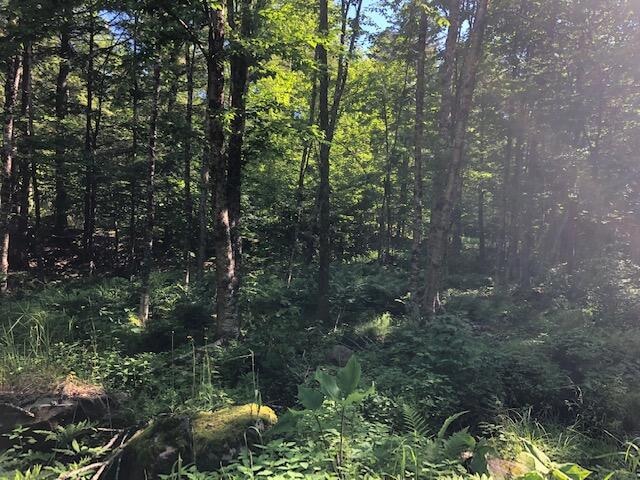 Baker Flag Cove Lot 1
